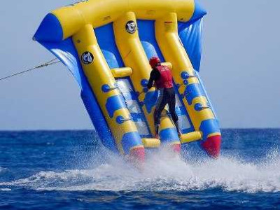 Flying Fish