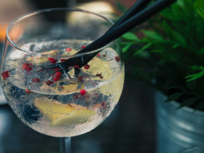 Gin & Tonic Tasting