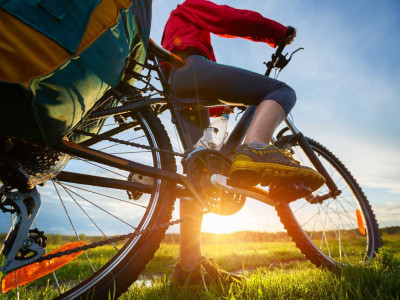 City Bike Tour