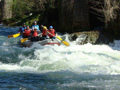 Rafting with Transfers