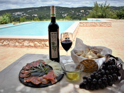 Vineyard Tour
