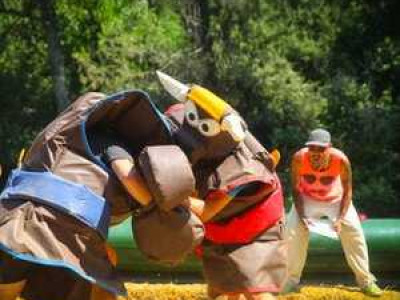 humor-amarillo-your-own-takeshis-castle