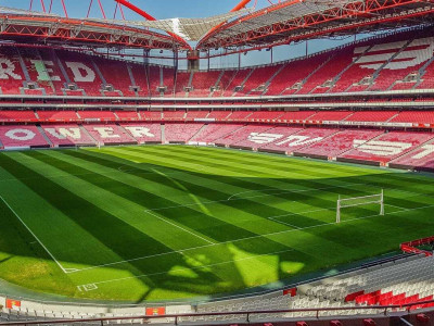 Benfica Stadium Tour & Museum